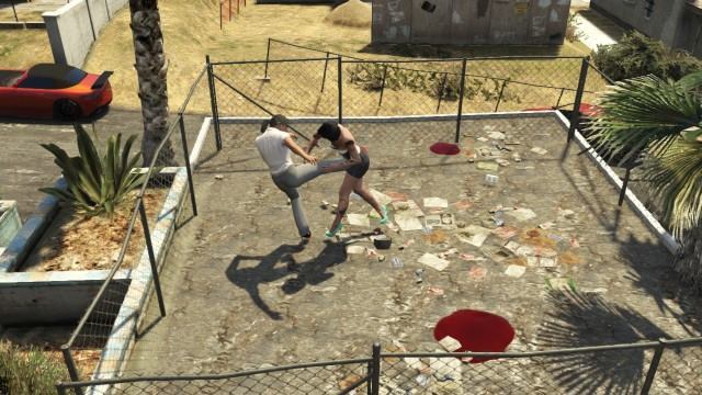 Backyard Sparring